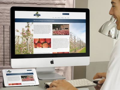 web design maidstone