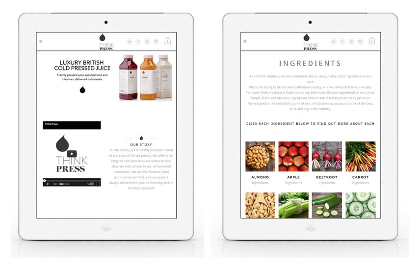 Best Food Web Design