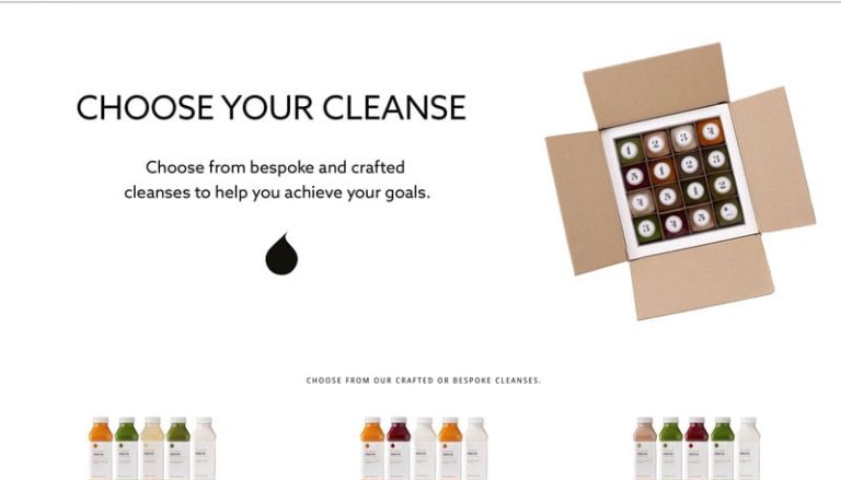 Best food web design