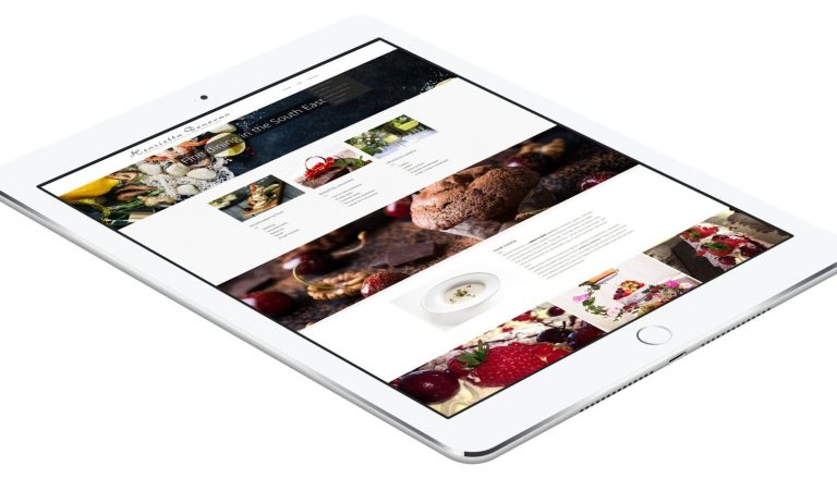 Best food web design inspiration