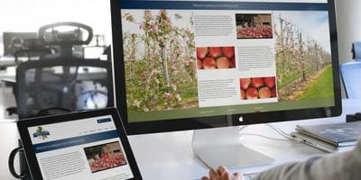 WEB DESIGN KENT WEB DESIGN KENT