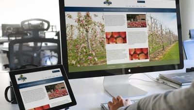 WEB DESIGN KENT WEB DESIGN KENT